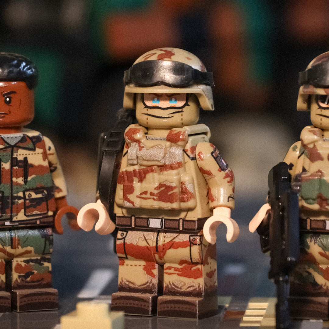Modern French Military